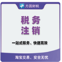 电子税务局申报纳税税务服务季度网上申报远程一对一指导申报