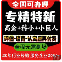 上海高新申请技术企业认定申请申报复审专精特新小巨人科小创认证